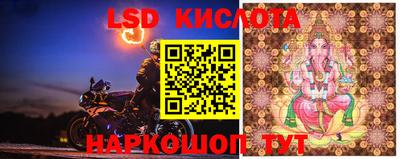 прущие крисы Малгобек